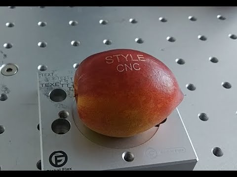 CO2 激光水果打標機 DIY 定制徽標和標志 CO2 激光水果打標機 DIY 定制徽標和標志